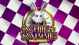 white rabbit slot