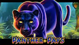 Panther Pays